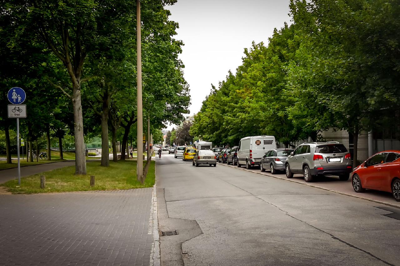 Das Bild zeigt Bäume an der Nöthnitzer Straße - doppelreihig im Süden (links), im Norden einreihig (rechts).