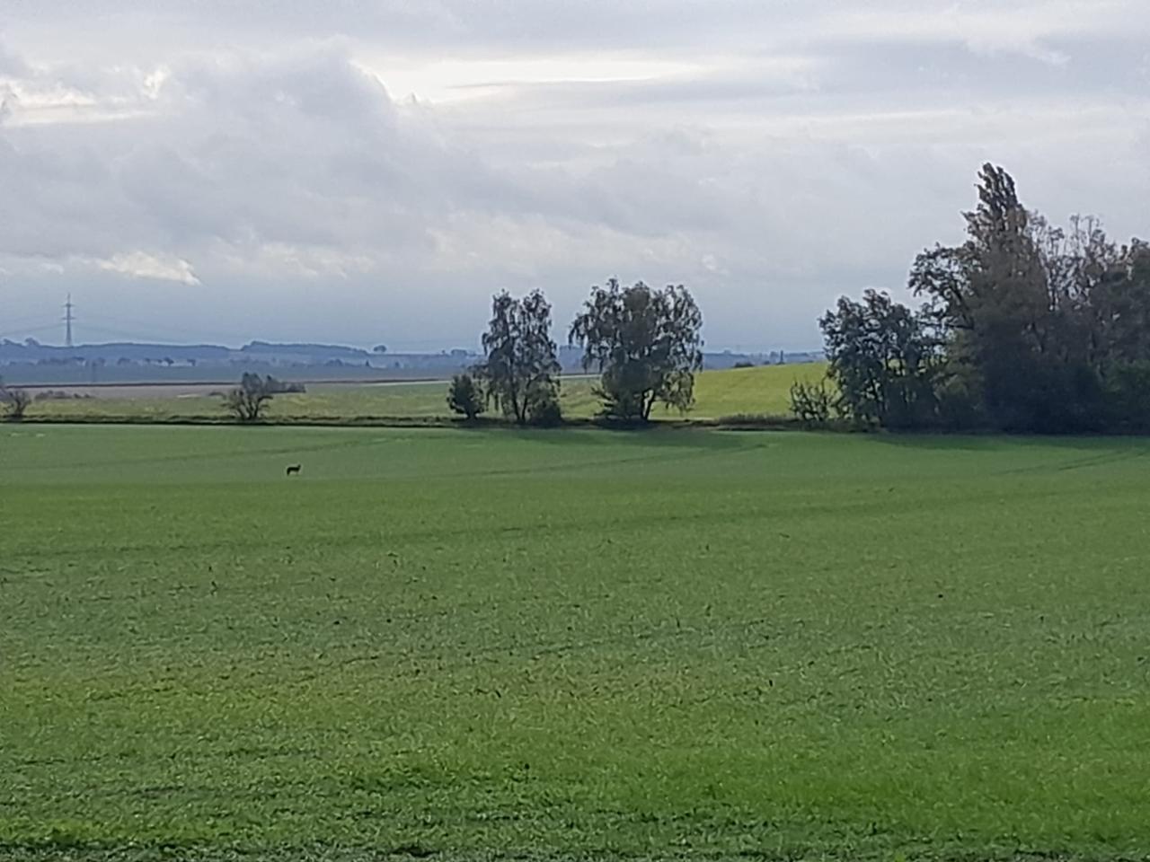Bilder zur Meldung - öffne Lightbox