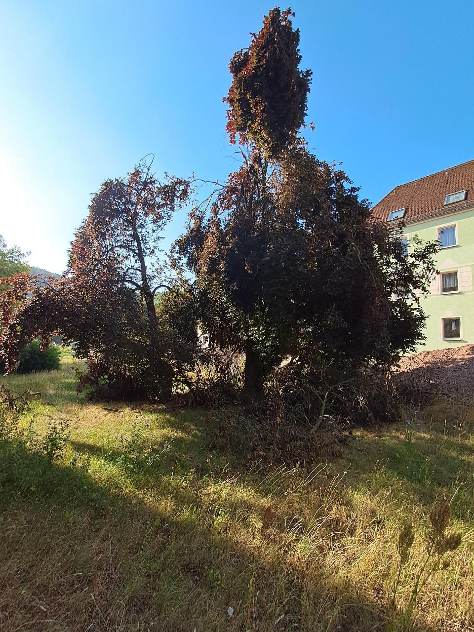 Bilder zur Meldung - öffne Lightbox