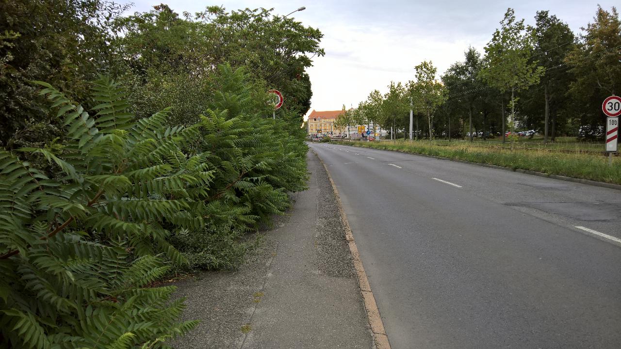 Bilder zur Meldung - öffne Lightbox
