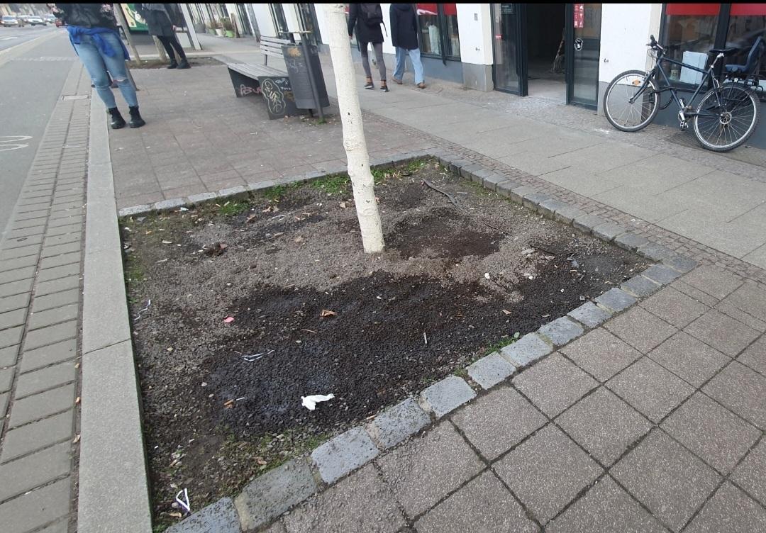 Bilder zur Meldung - öffne Lightbox