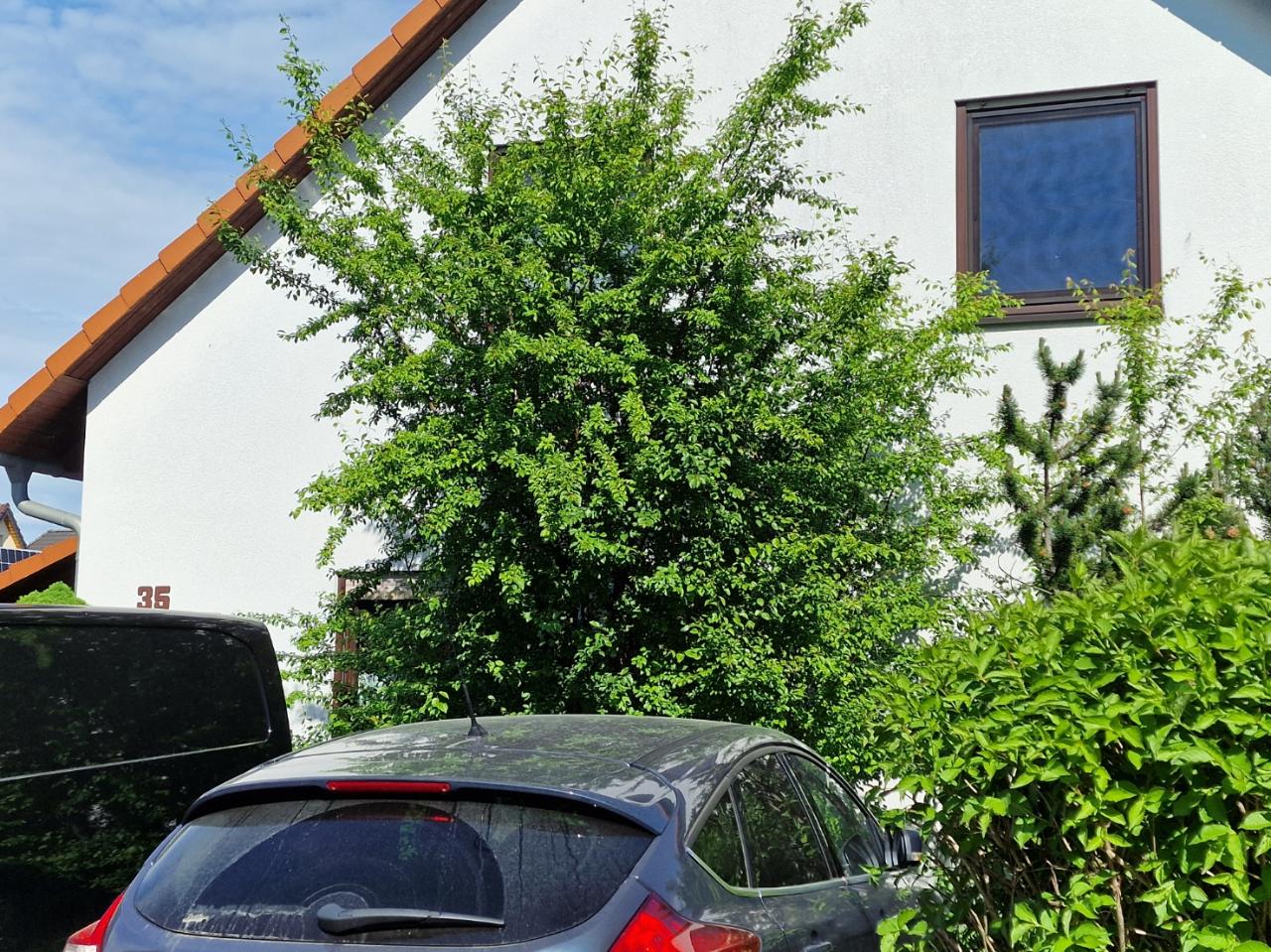 Bilder zur Meldung - öffne Lightbox