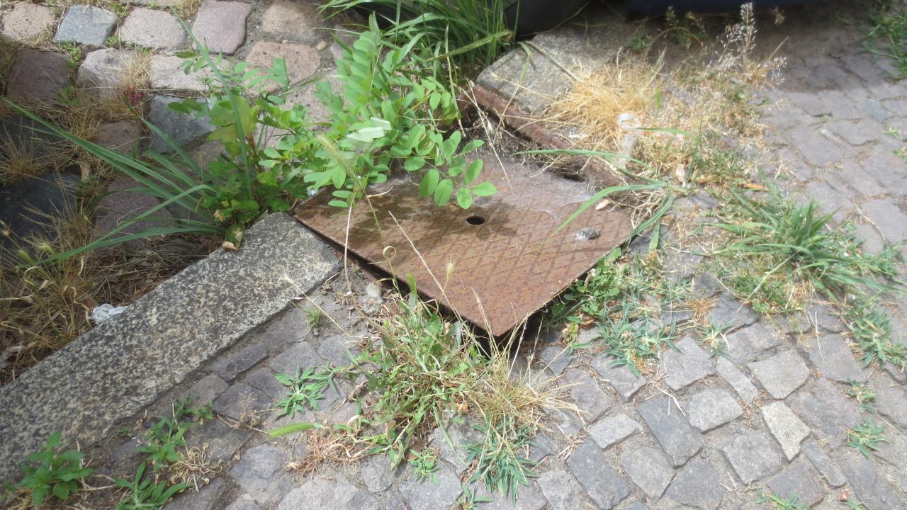 Bilder zur Meldung - öffne Lightbox
