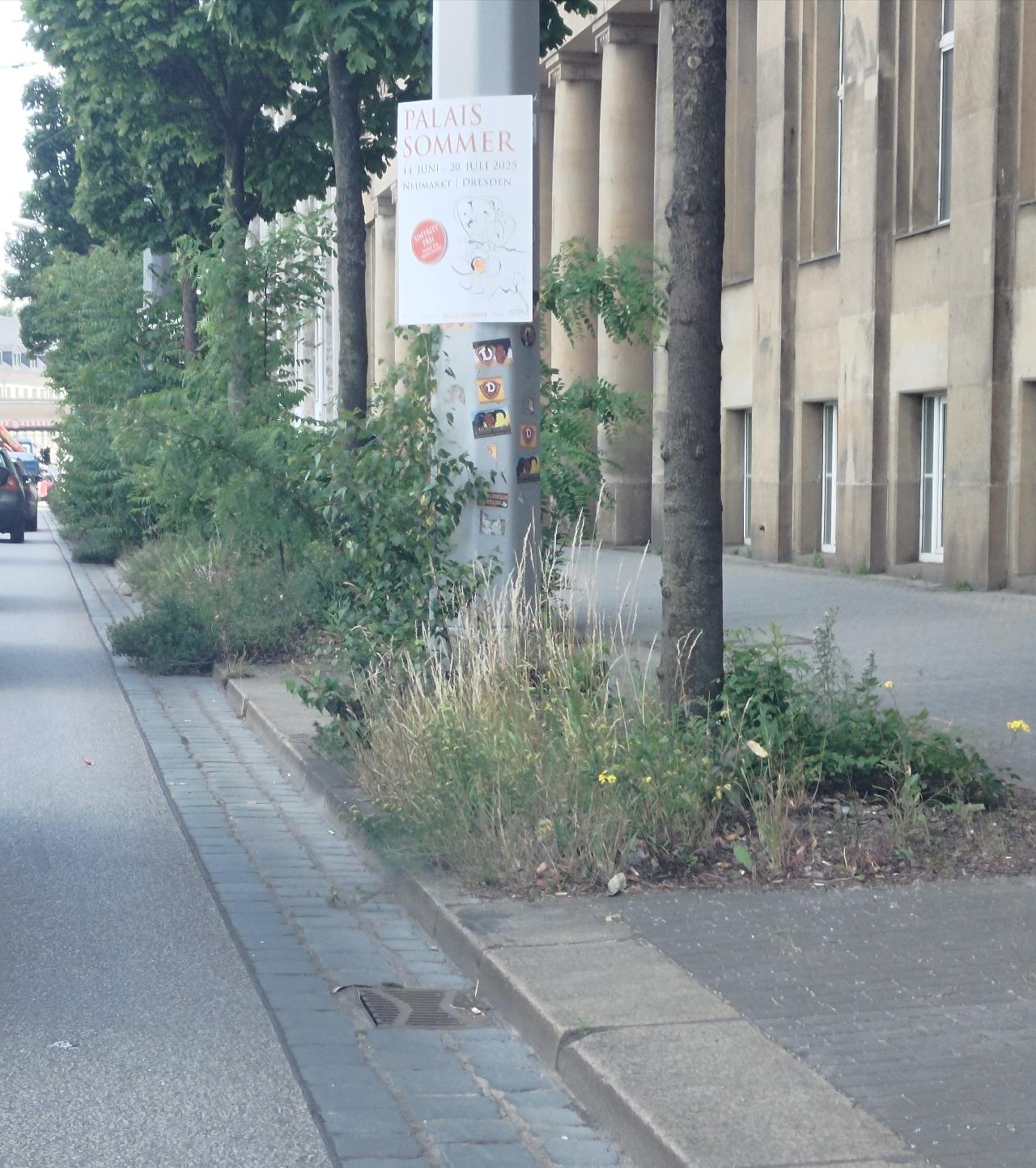 Bilder zur Meldung - öffne Lightbox