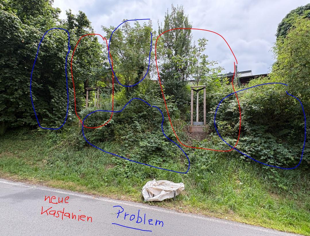 Bilder zur Meldung - öffne Lightbox