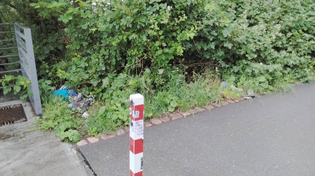 Bilder zur Meldung - öffne Lightbox