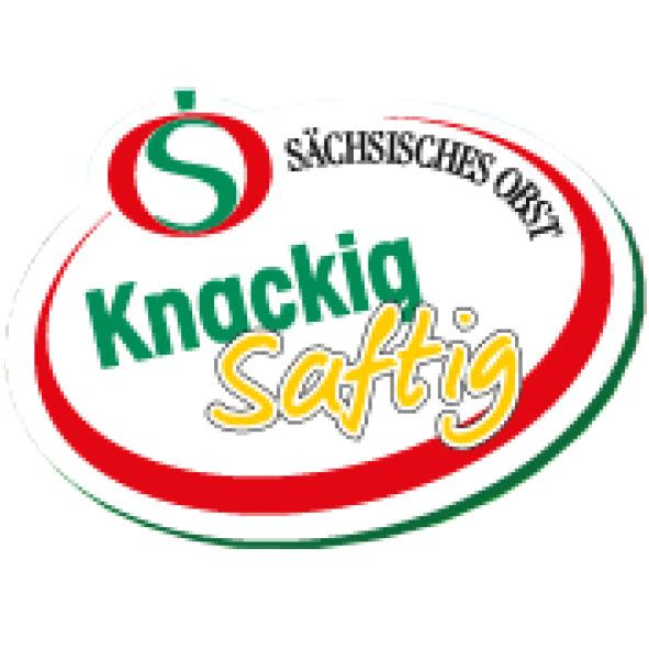 [Logo des Partners]