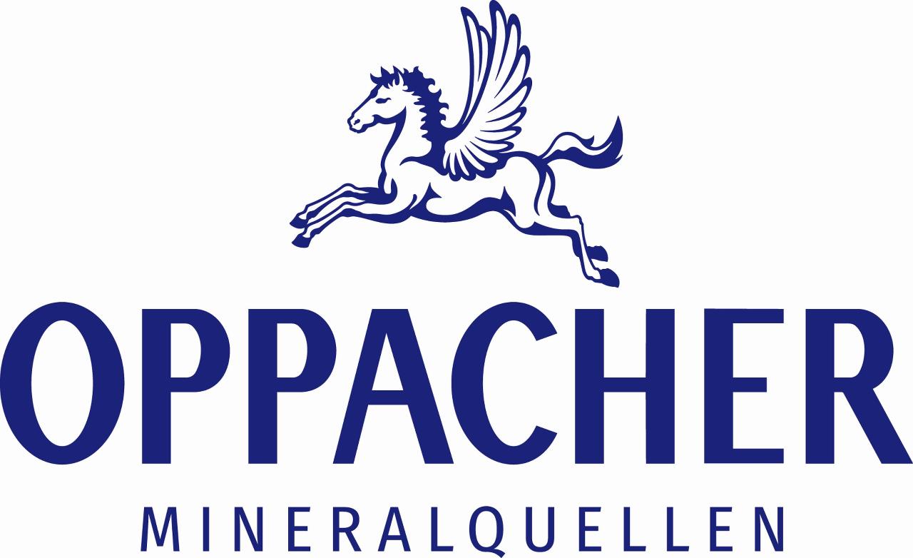 [Logo des Partners]