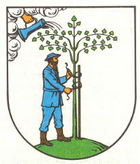 Logo: Stadt Netzschkau